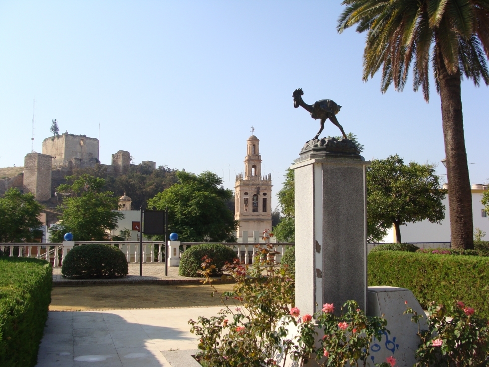 Gallo de Morón de la Frontera (Sevilla). Foto: MiNube